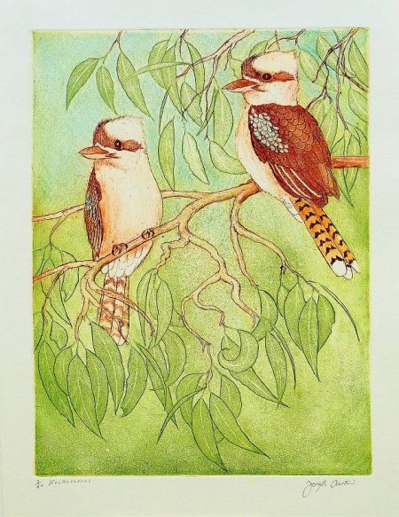 Joseph Austin - Kookaburras