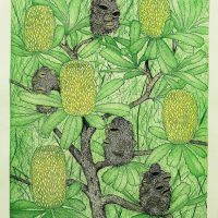 Joseph Austin - Old Man Banksia - Banksia Serrate