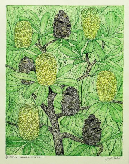 Joseph Austin - Old Man Banksia - Banksia Serrate