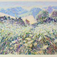 Caroline Sykes  - Moring field