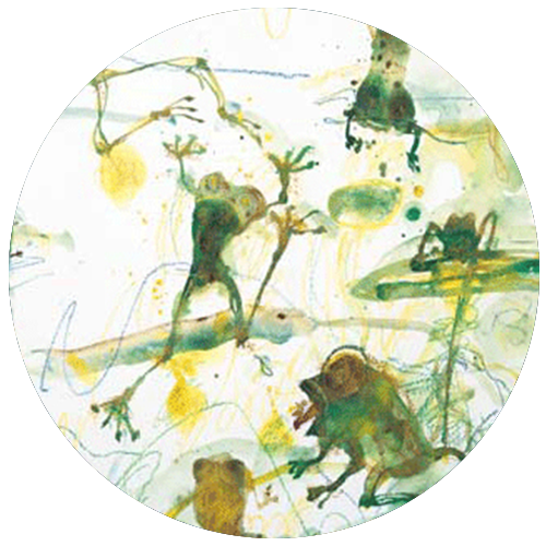 John Olsen Steven Print Gallery