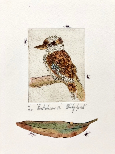 kookaburras