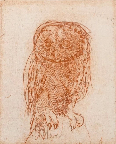 Owl